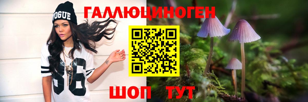 Галлюциногенные грибы Psilocybine cubensis Кемерово